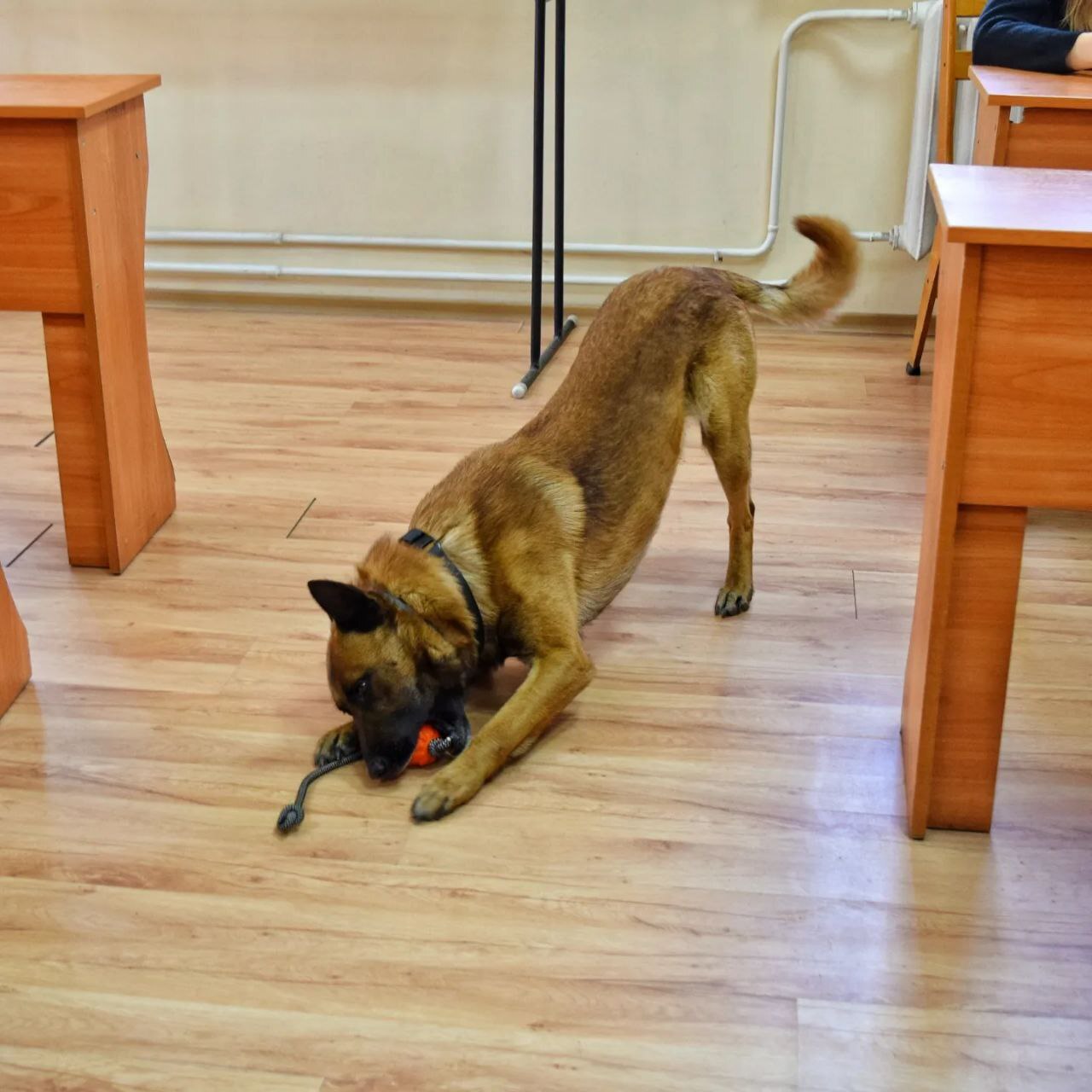 IMG_20240425_075055_206